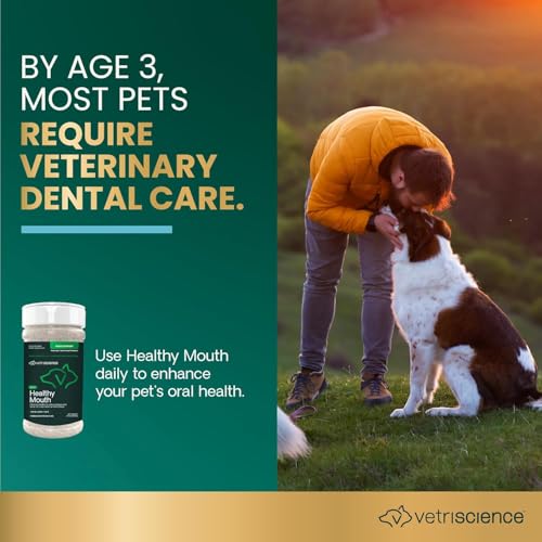 Image of VetriScience Dental Care Powder for Dogs & Cats - Helps Reduce Plaque & Tartar Buildup, Clean Teeth & Fresher Breath, Clinically Tested, Vet-Formulated Oral Supplement, 4.2 oz - 2 Pack