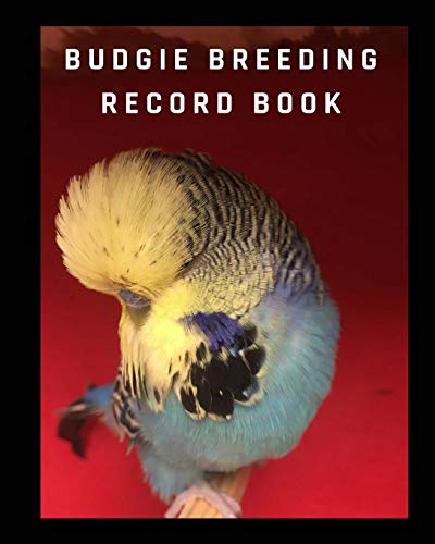 Budgie breeding record book: log book for birds ,notebook, diary, hatching chicks,eggs,cage,100 templates 8" x 10"