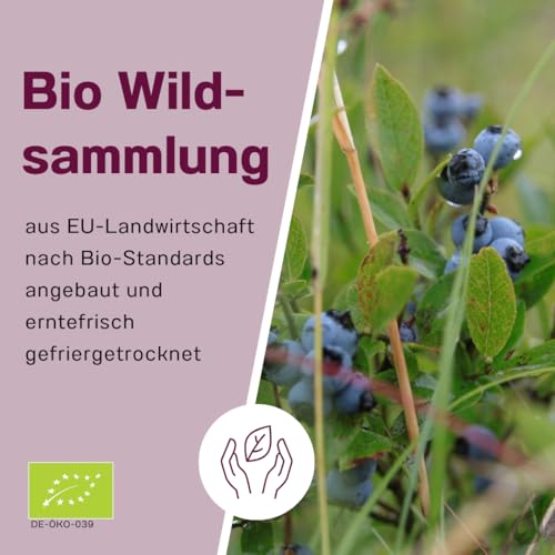 Wilde Heidelbeere bio Pulver - gefriergetrocknetes Wildheidelbeerpulver bio - EU-Landwirtschaft - Vaccinium Myrtillus - ohne Zusätze (200 g (1er Pack))