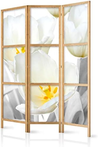 murando Room divider 135x171cm / 54"x68" 3 pieces non woven fabric German quality room divider wood design pattern hand made Home office Japan p-A-0009-z-b