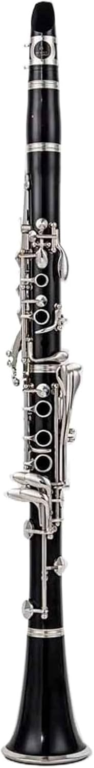 Clarinet 17 Keys Bakelite Professional Woodwind Tenor Reed With Box Musical Instrument