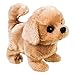 Westminster, Inc. Redley the Retriever - Cute, Cuddly, Plush Battery Operated Dog Toy Walks, Wiggles, and Barks with Sound
