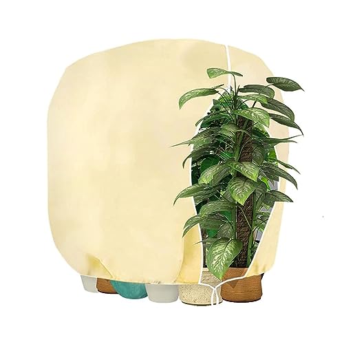 Lohofrnny Housse Hivernage Plante, Voile Hivernage Plante Extérieur 80g/m², Housse d’Hivernage...