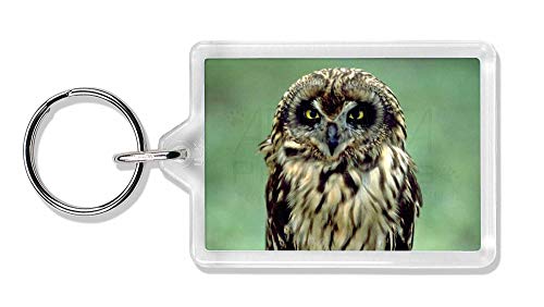 Preisvergleich Produktbild Advanta - Keyrings Nette Waldkauz Foto Schlüsselbund TierstrumpffüllerGeschenk