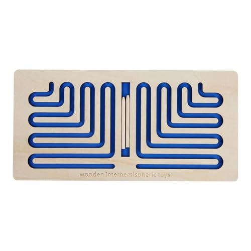 子供たちの左脳トレーニング指導 | トレーシングペン軌道トレーニングツール,ロジック教育パズル、子供の左右脳開発ツールおもちゃギフト