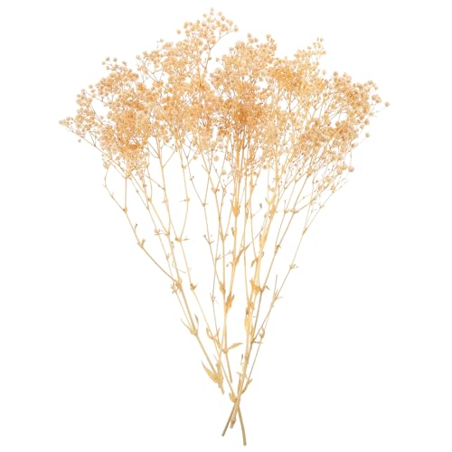 Bouquet de flores secas Gypsophila blancas preservadas miniatura 1