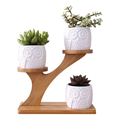 Youfui 3pcs Owl Plant Pot Succulent Planter for Plant Lover, Mini Cactus Pot with Bamboo Stand Indoor Plant Pots for Women Gardening Gifts Cover