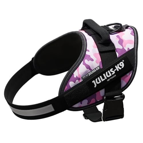 IDCp[n[lX, TCY: M/0, sNJ