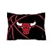 Northwest NBA Chicago Bulls Unisex-Adult Comforter and Sham Set, Full/Queen, Reverse Slam