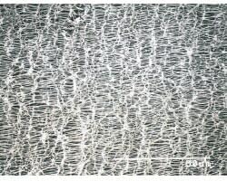 2-348-03 ストライプpH試験紙（PEHANON） pH1.8-3.8 1箱（200枚入） MN90413 【AXEL】 アズワン ストライプPH試験紙 7.2-8.8