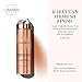 LUMINESS Silk Airbrush Spray Foundation - Full Coverage Foundation - Formula Hydrates & Moisturizes with Hyaluronic Acid, Aloe Vera & Hydrolyzed Silk (Shade - Tan Dark)