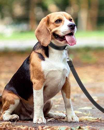 Taglory Hundeleine Mittelgroße Große Hunde Leicht | Doppelseitig Reflektierend | Gepolsterter Griff | Unterstützung 10 bis 75 kg | 1.8m x 2.5cm | Schwarz