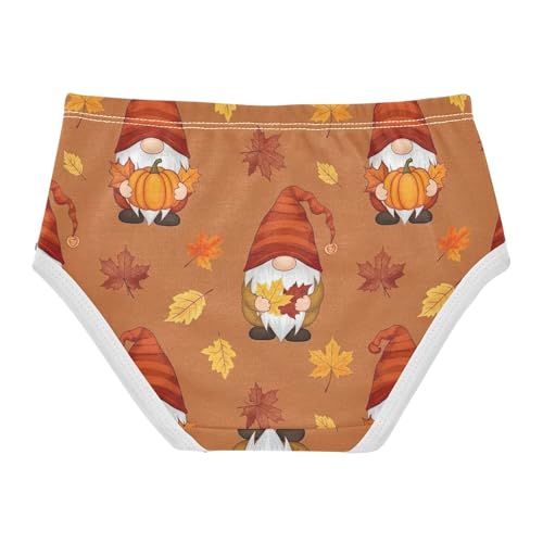 Cute Autumn Gnomes Pumpkins Panties for Girl Toddlers Underwear Floral Cotton Personalized Undies Kids Briefs 2t2
