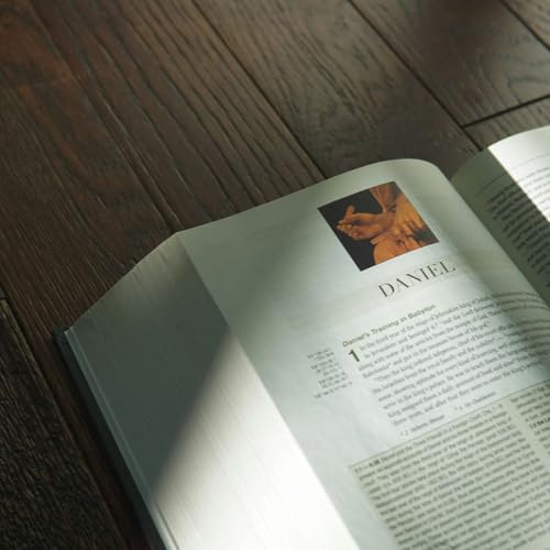 TFL BLOG | Experiencing Scripture Through Sacred Reading