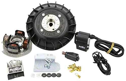 cono Ø19mm PINASCO FLYTECH KIT ACCENSIONE ELETTRONICA 12V VOLANO 1,4 KG CONO 19 ANTICIPO VARIABILE PIAGGIO VESPA 50 125 SPECIAL R L N PK ET3 PRIMAVERA Art. 25356835