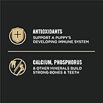 Purina Pro Plan High Protein Dry Puppy Food, Chicken and Rice Formula - 6 lb. Bag - Image 4