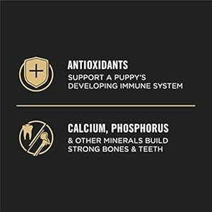 Purinaproplanhighproteindrypuppyfoodchickenandriceformula6lbbag Urban Country Home Decor Purina pro plan high protein dry puppy food chicken and rice formula 6 lb bag urban country home decor