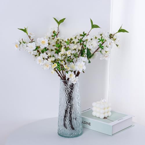 VaryFloral   4{ zCg A[eBtBVt[ u[P  ͂Ȃ ԑ tFCNt[ lHϗtA t[AWg ʐ^Be Be EFfBO  JXj LO a  z[ 