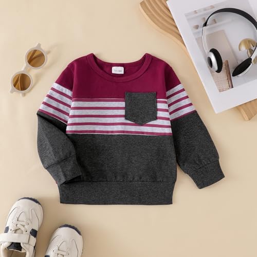 Image of FOCUTEBB Toddler Boy Clothes Baby Boys Fall Winter Outfits Long Sleeve Sweatshirt Top Jogger Pants Set Boys Outfit Set 12M-4T