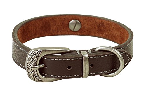 covink® longitud ajustable desde 11,5 a 14,5 pulgadas, 0.8 cm de perros de cuello de piel para perros medianos Perros Pequeños, color marrón