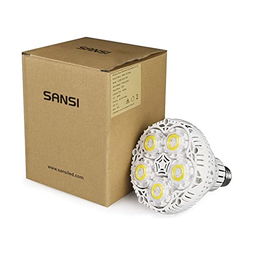 (Updated) Br30 30W Led Light Bulb, 250-300W Equivalent, 5000K Daylight, 4000Lm Super Bright Bulb, Non-Dimmable, Cri80, E26 Base, Floodlight For Warehouse Supermarket Logistic Center Church #TOP7
