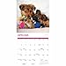 Playful Puppies Calendar 2026