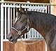 Kerbl Halfter Mustang 2-Fach verstellbar, Schwarz/Silber, 1, 321960