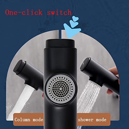 Robinet mélangeur double mode pour évier de cuisine eau chaude et froide