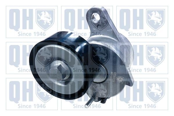 QUINTON HAZELL Kit Cinghie Poly-V QDK132 Compatibilità con VW Golf 7 Hatchback 5G1, BQ1, BE1, BE2 TIGUAN 5N, AUDI Q5 8RB A3 Sportback 8VA, 8VF A4 Avant 8K5, B8