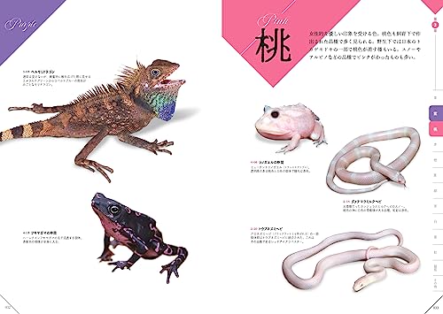 Amazon.co.jp: 川添 宣広: 本、バイオグラフィー、最新アップデート