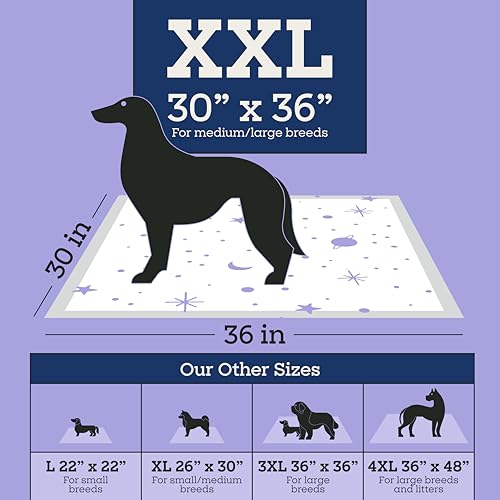 Image of Pet Life Unlimited Overnight XXL Puppy Pads for Dogs, Potty Training Pee Pads, 30 Count, 30 inch x 36 inch, Leak-Proof, Super Absorbent, Quick-Dry Overnight Protection, Made in USA