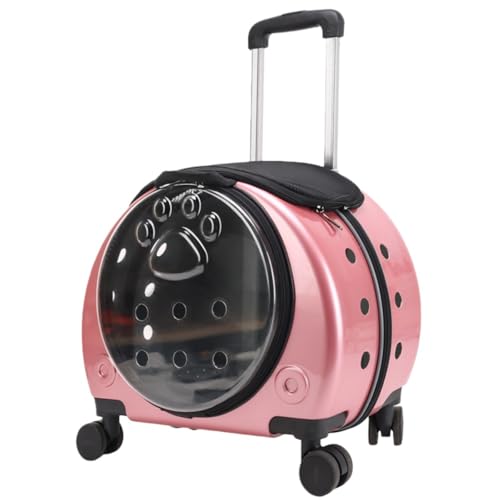 Sailozai VvőeʁA^щ\ȃybgLAANGCeBuȃybgobNpbNAFJvZpוB (_[NsN)