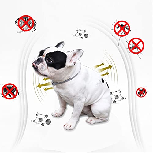 Cuier Pet combs, electric pet combs, cat combs/dog combs, grooming combs can effectively remove floating hair, suitable… - Image 5