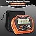 NJTY T6125 Digital Insulation Resistance Tester, 2500V Megohmmeter, 0.01MΩ–200GΩ, AC Voltage (10V-600V), Low Resistance (0.01Ω-60Ω), Data Hold, Over-Range Alarm, Auto Shutdown, Backlit LCD