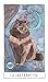 Imagen de EL TAROT DE LOS GATOS: Estuche libro + cartas