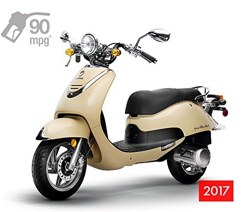 Amazon.com: Lance Cali Classic Upper Leg Shield 49cc 150cc Chinese