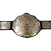 Ray's Gold Adult Size World Heavy Weight Wrestling Champion Replica Belt