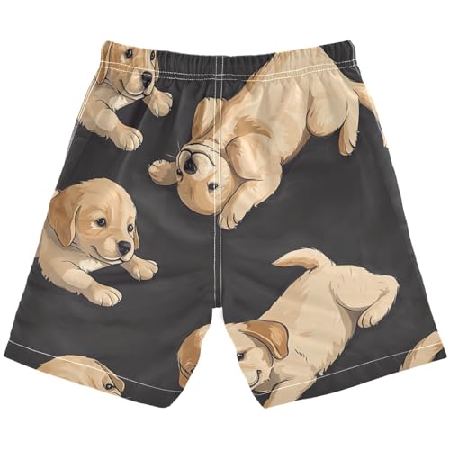 Boys Beach Board Shorts Dog Cute Animal Swim Trunk Teen Swimwear2