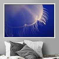 Framed Canvas Wall Art Jellyfish Floating Colorful Fish Group Marine Life Multicolor Nautical Photography Realism Ultra - 16x24 inches