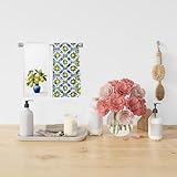 Dibor Italian Lemon Kitchen Towels Dishcloth Set of 2, Mediterranean Decor Dish Towels, Blue Tile Amalfi Coast Lemon Decorative Hand Tea Towel for Bathroom Kitchen, 16x24 Inch
