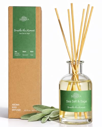 BITSOTA Natural Reed Diffuser Set, Sea Salt & Sage 3.52 oz (100ml) Scented Diffuser with Sticks Home Fragrance Reed Diffuser for Bathroom Shelf Decor, Ideal Gift for Woman