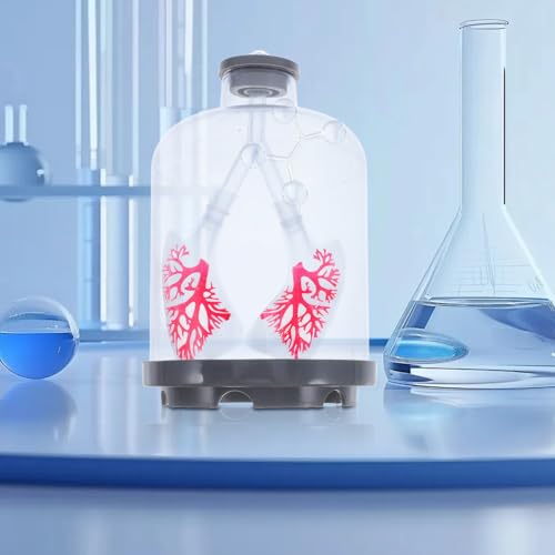 Modelo de respiración pulmonar interactivo con simulación realista de Zerodeko 7