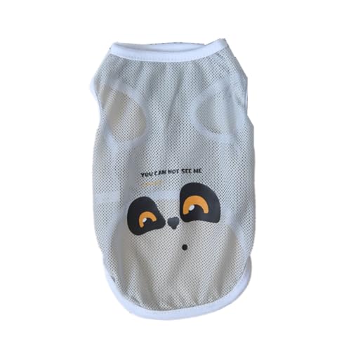 Morycatt ̕ L  ^Ngbv ybg hbOEFA ʋCbV m[X[u UoEFA m Eѕی ^ ČAHc (O[,XS)