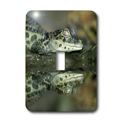 Alligator à bascule 3dRose Lsp_9940_1 interrupteur décoratif - 3