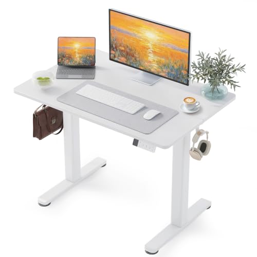 YDN 40x24 White Electric Standing Desk