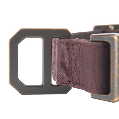 Carhartt Hundehalsband, Nylon, Deep Wine, Größe M