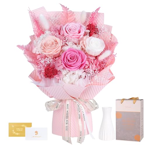 vU[uht[ sNF ԑ 4{KN 肠 ԕrt ͂Ȃ w Ǝ  lC u[P a v[g ̓ hV̓ Mtg