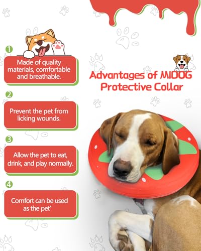 Image of MIDOG Inflatable Dog Cone, Donut Recovery Collar After Surgery, Large+