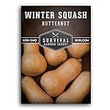 Survival Garden Seeds - Butternut Squash Seed for Planting - Packet with Instructions to Plant and Grow Winter Squash Plants in Your Home Vegetable Garden - Non-GMO Heirloom Variety - 1 Pack