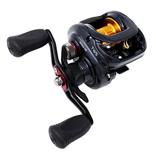 ダイワ リール タトゥーラ 100SH-TW 2枚目